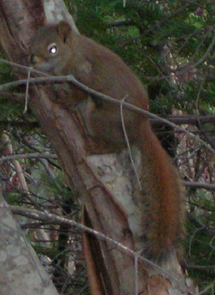 DSCN1508_modifié