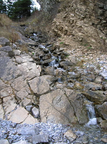 DSCN2044