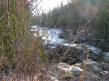 DSCN1990