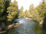 DSCN1993