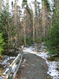 DSCN2002