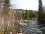 DSCN2005