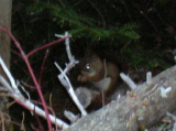 DSCN2063
