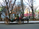 DSCN1884