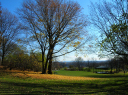 DSCN1909