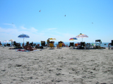 DSCN1103