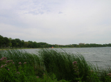 DSCN1251