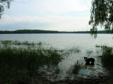 DSCN1266