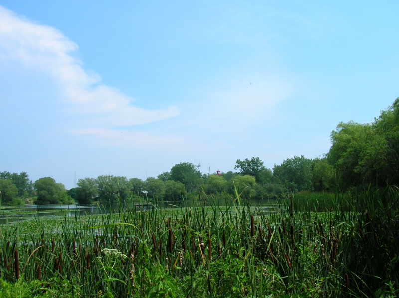 DSCN0997