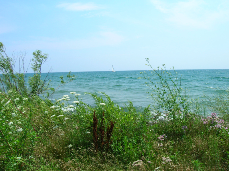 DSCN1004