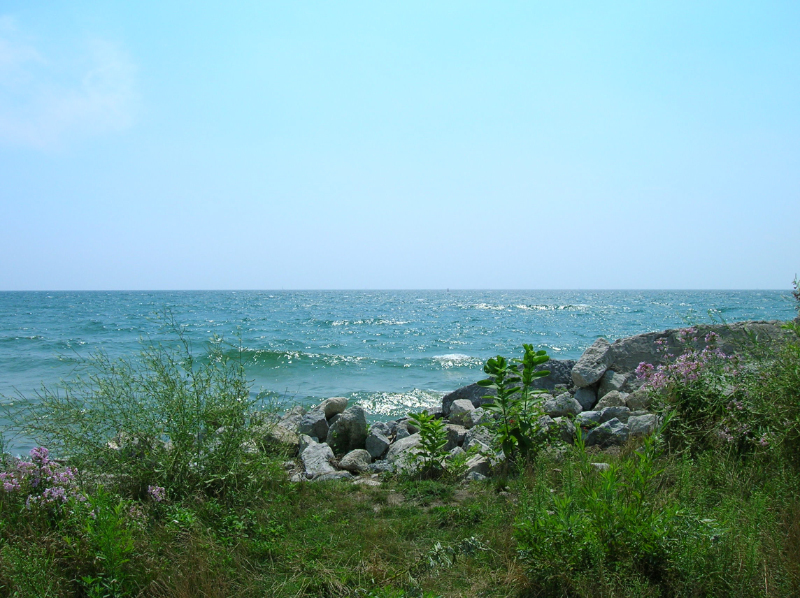 DSCN1005