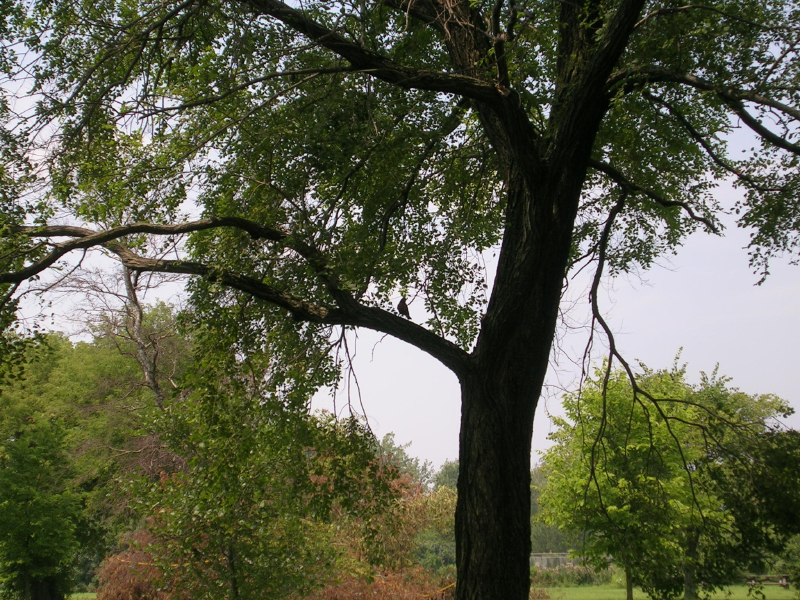DSCN1647