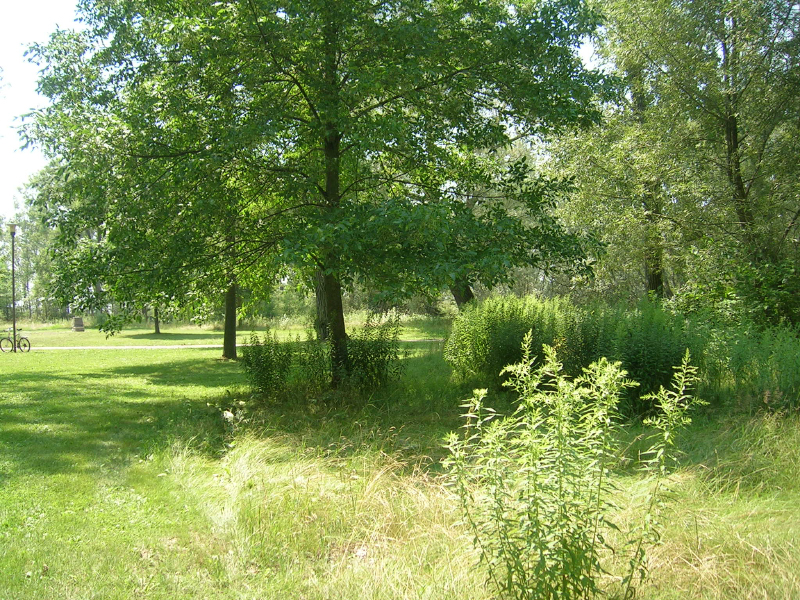 DSCN1659
