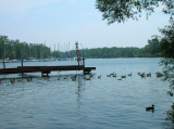 DSCN0992