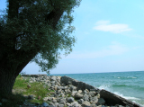 DSCN0999