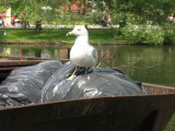 DSCN1107